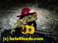 /home//u458753944/public_html/sourcegallery//////////////////////Roxborough Toad Detour/2013-2019/2017/P4050683.JPG